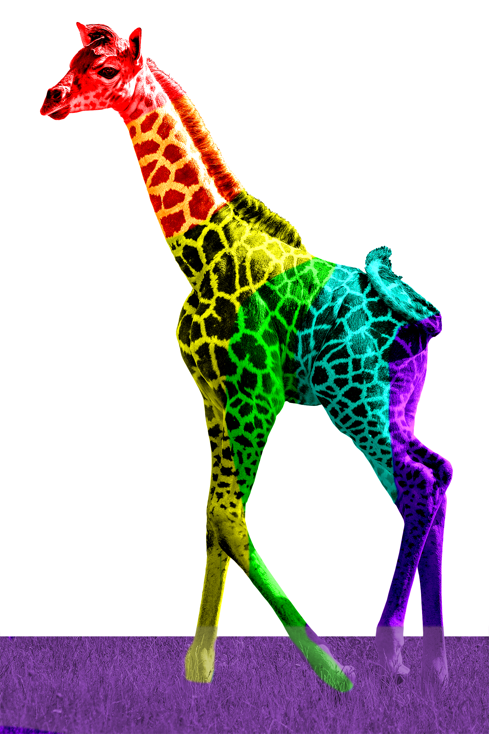 Design Project Image